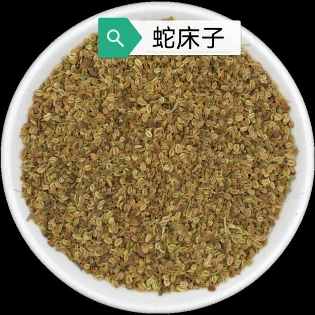 在药材市场上,这种蛇床子的价格一般在20元一斤左右,这价格是干的种子