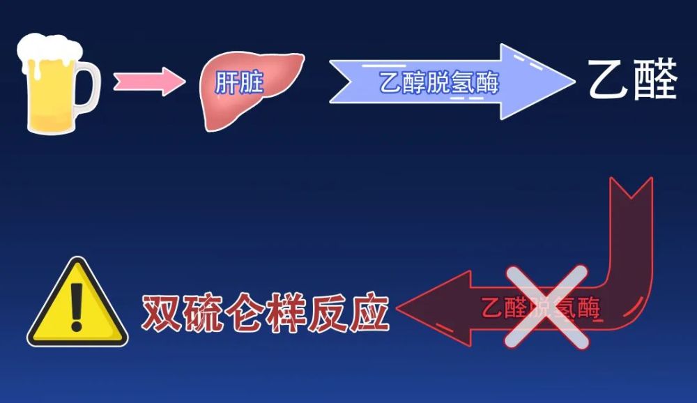 简单来说就是头孢会抑制乙醛脱氢酶的活性,阻碍乙醛代谢成乙酸.