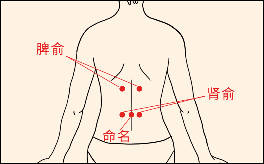 艾灸脾俞,肾俞和命门这三个穴位,来达到补益脾肾的目的.