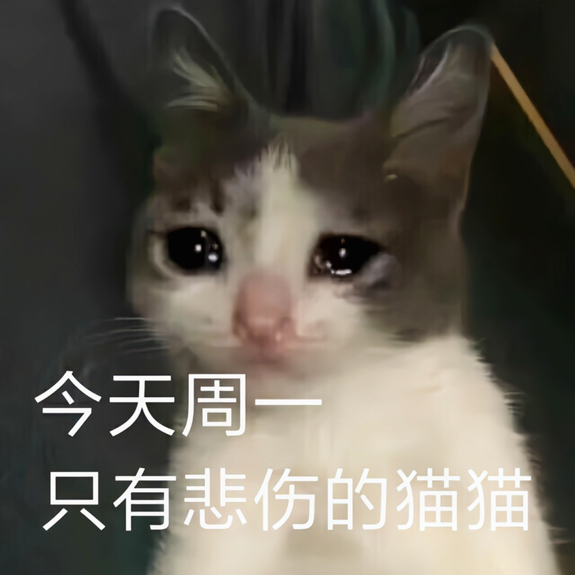 猫咪一周表情包每天都有新感觉