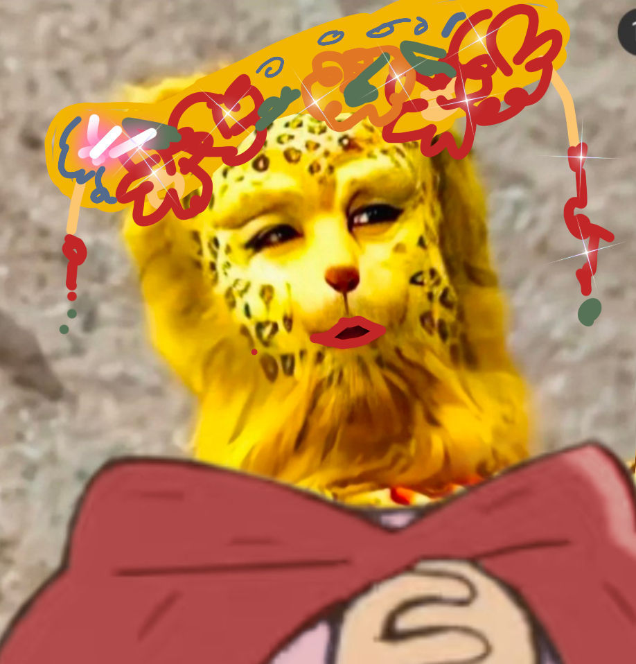 金钱豹头像专题