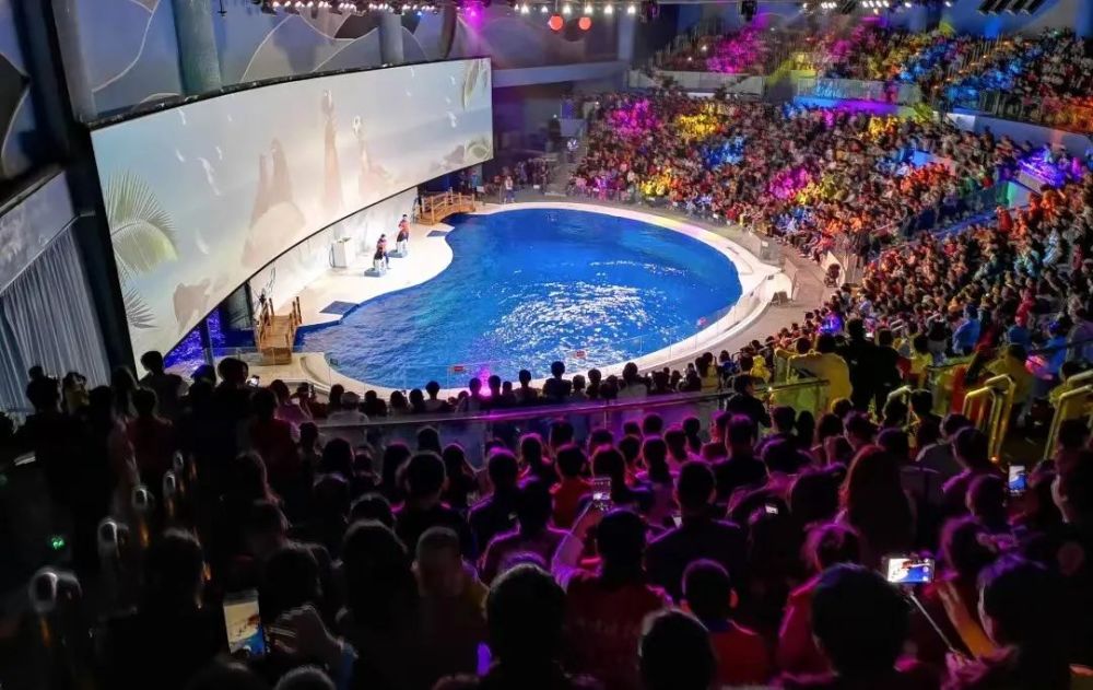 日照海洋公园汤姆猫门票大优惠01元喝桃花鱼汤免费抢冰上运动体验课