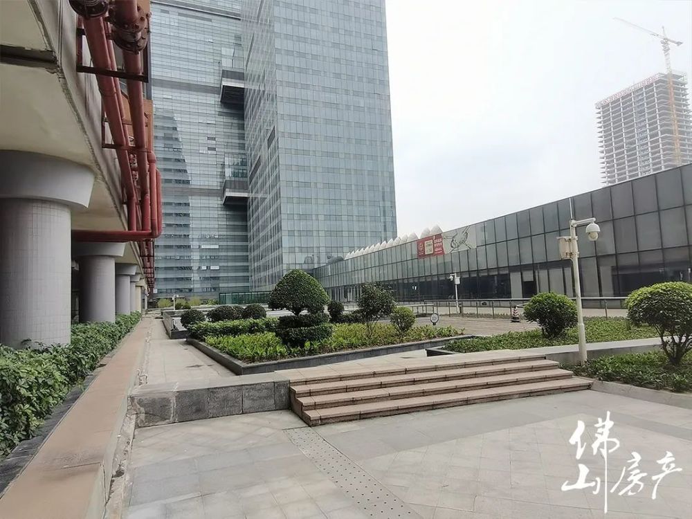 金融高新区还有3万真笋还是另有原因