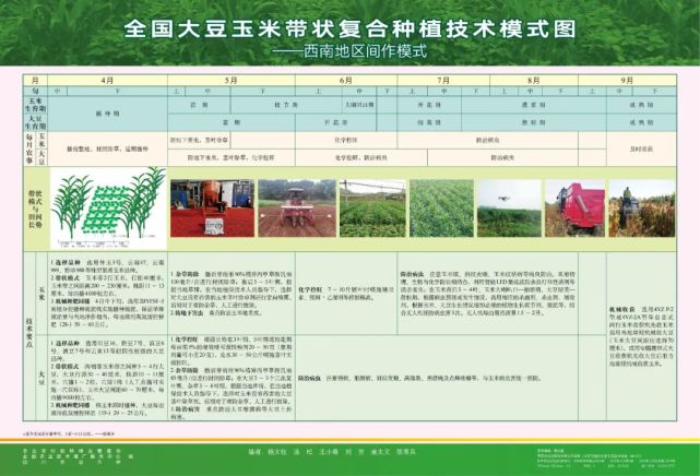 农业农村部编发大豆玉米带状复合种植指南