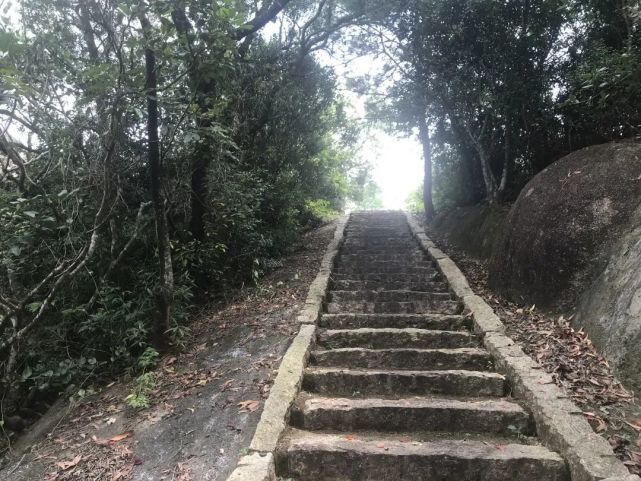红色大南山:红军医院