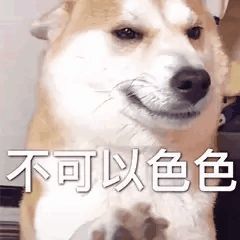 聊天必备表情包不可以色色