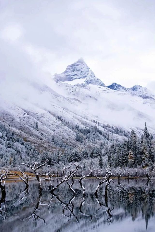 图源:四姑娘山景区观光车驶过林海,雪原,海子,在一片冰天雪地中穿行