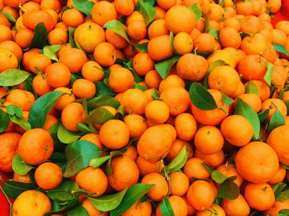 没有一兜儿砂糖橘能在天津过夜