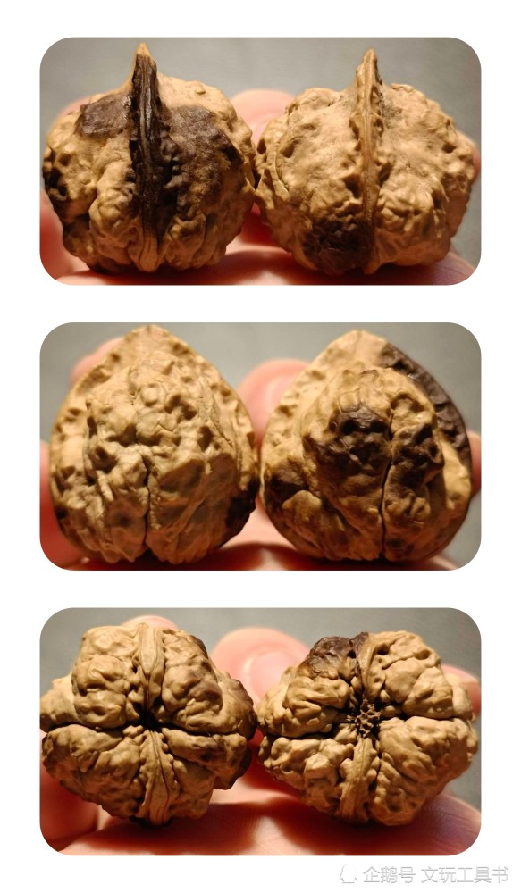 所以以后见到有人卖这款核桃,一定不要说:"您这核桃全阴皮,跟斑点狗似