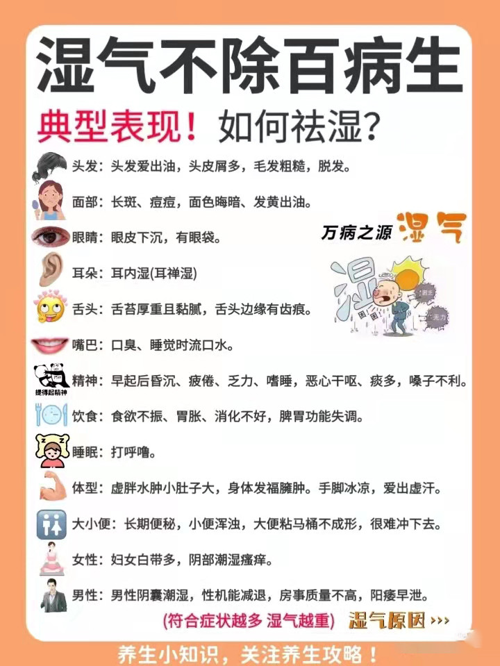 体内湿气重百病生祛除湿气才能一身轻松