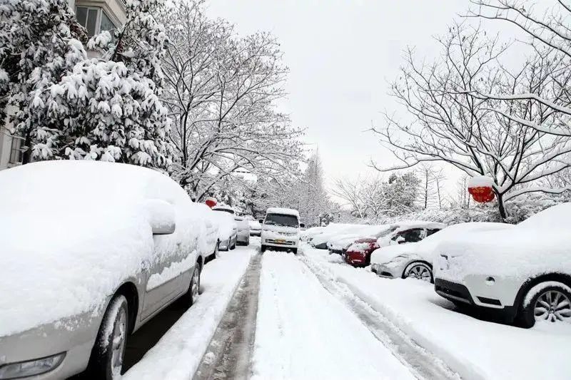 大雪特大暴雪今年来最强雨雪来袭8省有大到暴雪中央气象台最新预警