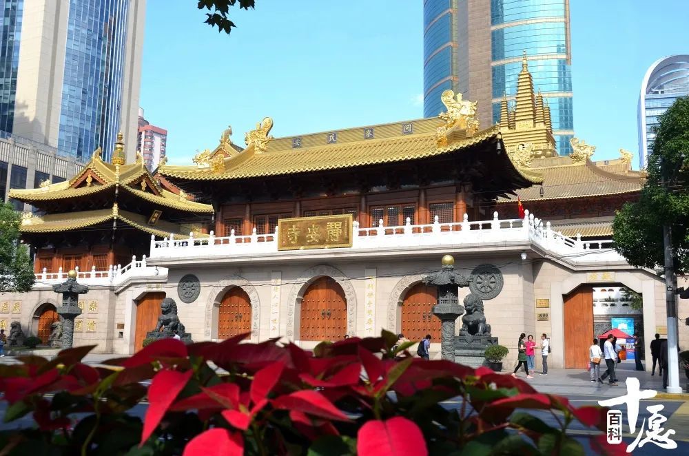 霓虹灯下的清净古寺上海静安寺一生必访的108旅行目的地