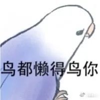 说的什么鸟语鸟图系列表情包