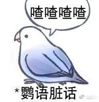 说的什么鸟语鸟图系列表情包