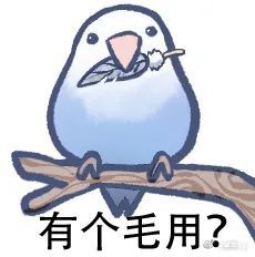 说的什么鸟语鸟图系列表情包