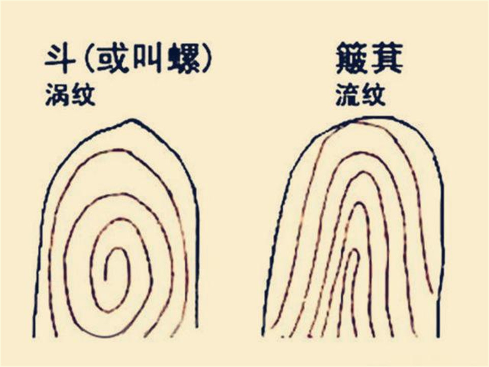 一斗穷二斗富康熙10个簸箕中科院发现斗与簸箕的奥秘