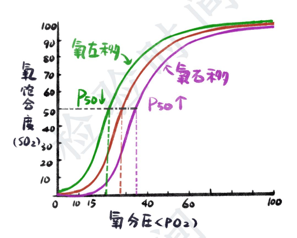 图:氧离曲线左移和右移p50:使 hb 氧饱和度达 50 时的氧分压,表示 hb