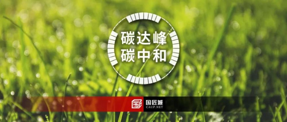 新华社信息,中共中央政治局1月24日下午就努力实现碳达峰碳中和目标