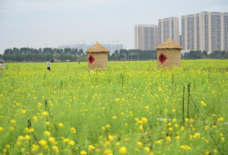 首创打造标志性农业ip南沙明珠农业公园春节开放