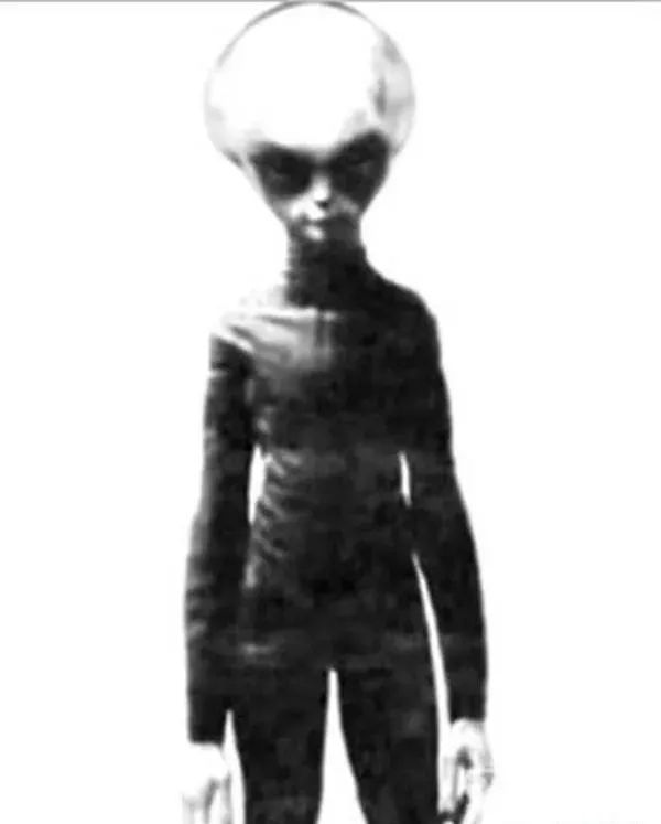 齐塔人和昴宿星人地球上真实存在的外星人