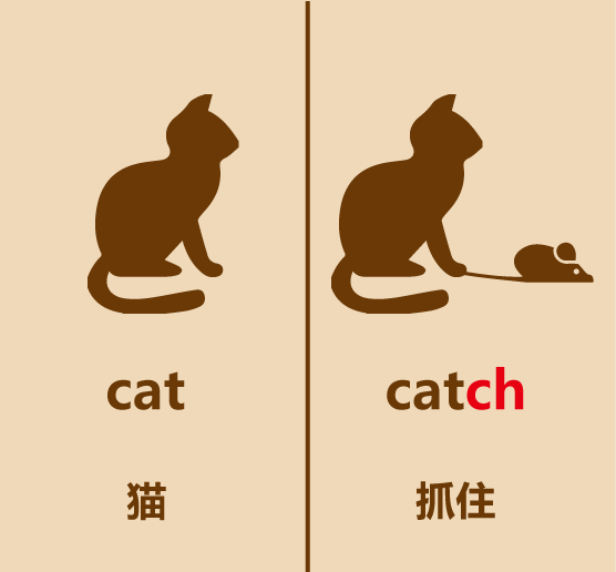 懒人英语简笔画cat