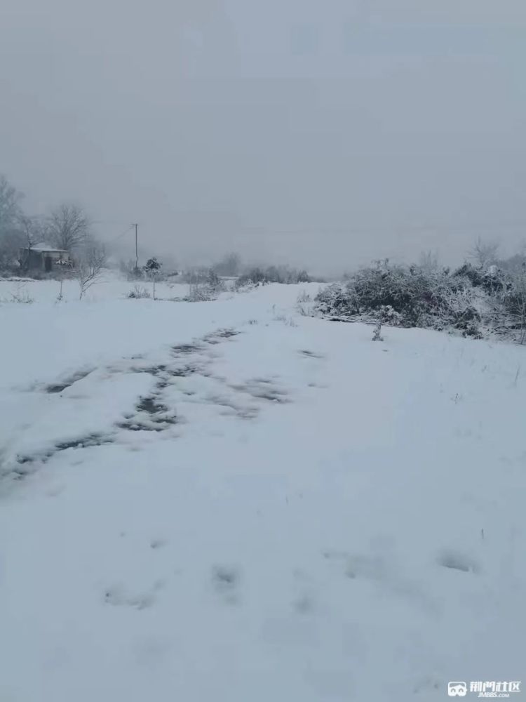 荆门大雪这场雪要一直下到海量雪景照