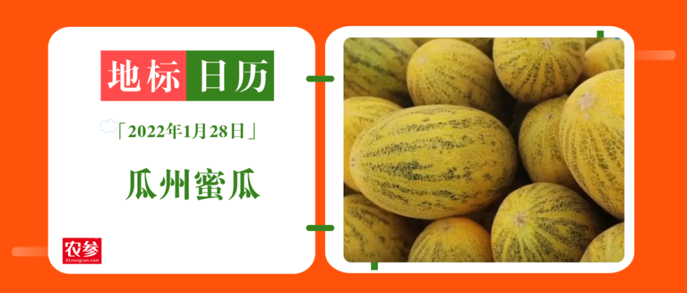 河西走廊西端,享有中国"蜜瓜之乡"美誉