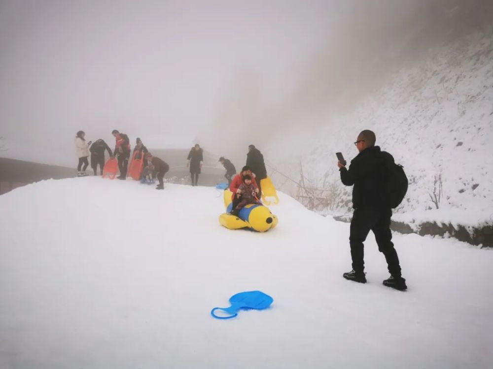 什邡山上昨晚又双叒叕下雪啦