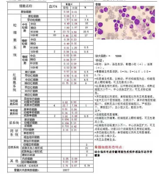 中性粒细胞正常值 腾讯网
