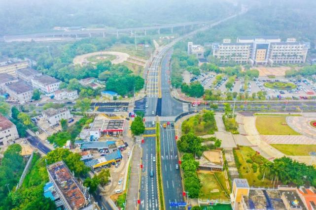 一路穿越大鹏湾,金岭路实现全线贯通|家门口的大项目