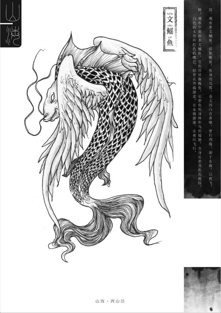 民间·传说《山海经-西山经》里记载:文鳐鱼形状像鲤鱼,长着鱼的身体