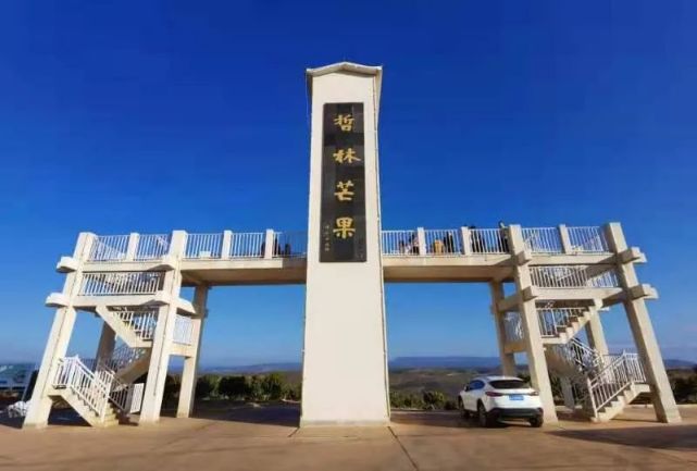 果园直供：构建绿色生态产业链