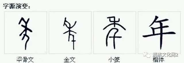 据考古发现,年字的甲骨文写法是上下结构的会意字—上边一个"禾"字