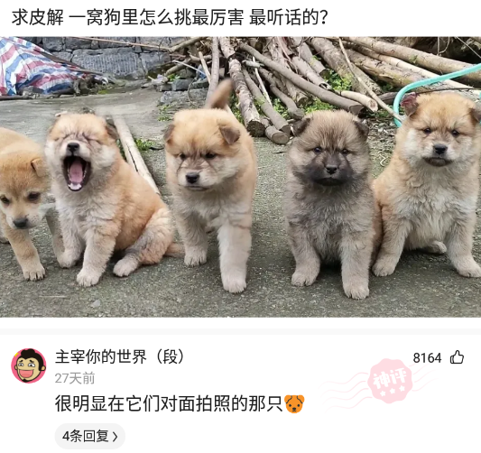 神回复:家里收入50万,让爸妈给我买奥迪a4l过分吗?