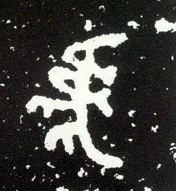 虎年来了虎字怎么写最精彩