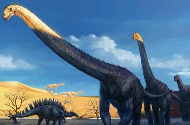 最大的恐龙是什么龙?