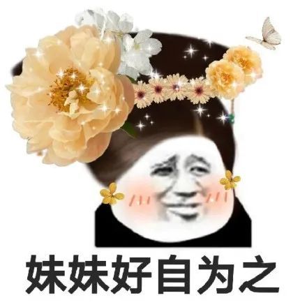 花枝招展的熊猫头娘娘沙雕表情包