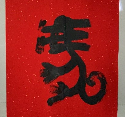 虎虎生威过大年庆阳六虎集中亮相