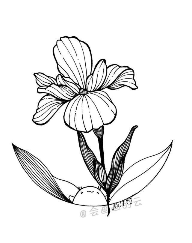 线描花卉,教你如何用中性笔画线条,这几点一定要注意