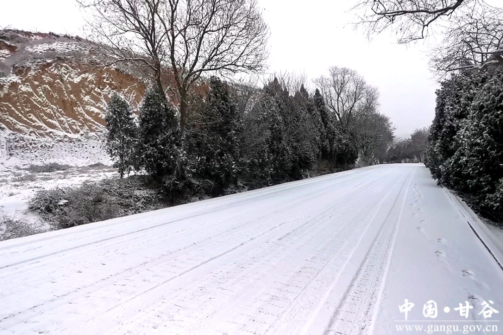 甘谷瑞雪兆丰年冀城再现银装雪景