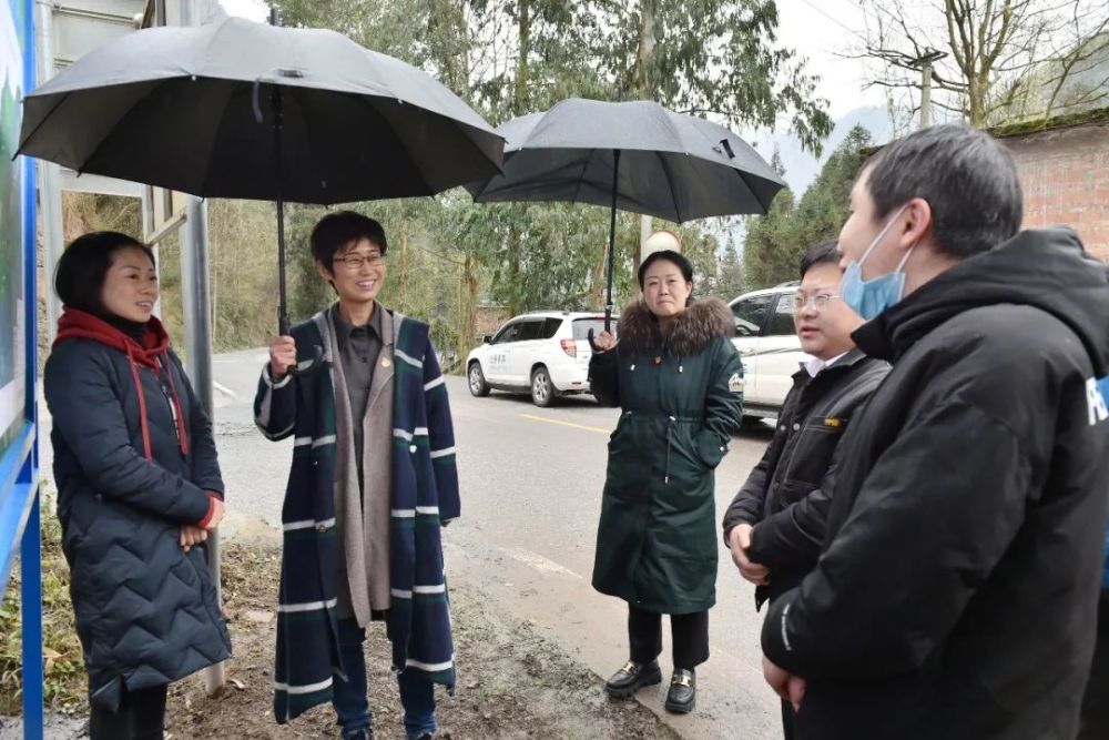 1月28日,昭通市委常委,宣传部部长谢宏到水富市太平镇盐井村调研指导