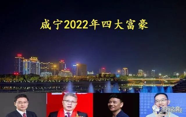 2022咸宁4位大富豪,两位是崇阳人!