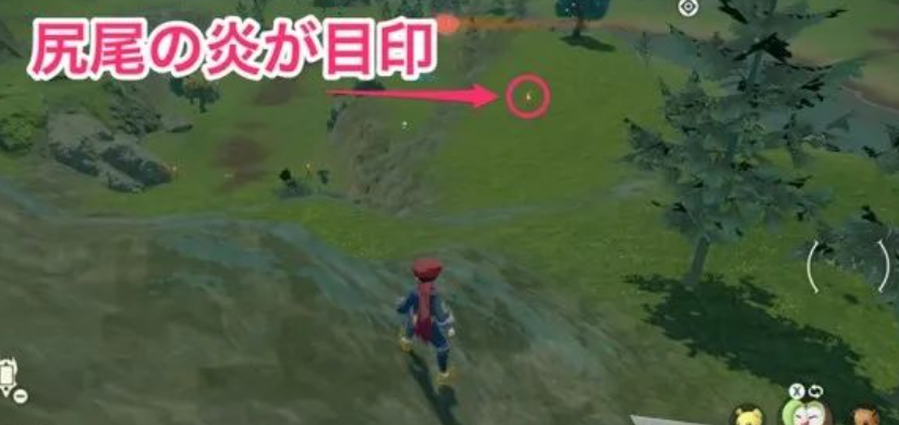 尾巴上的火为记号小火焰猴伊布小火马泳圈鼬小猫怪姆克儿大尾狸实际