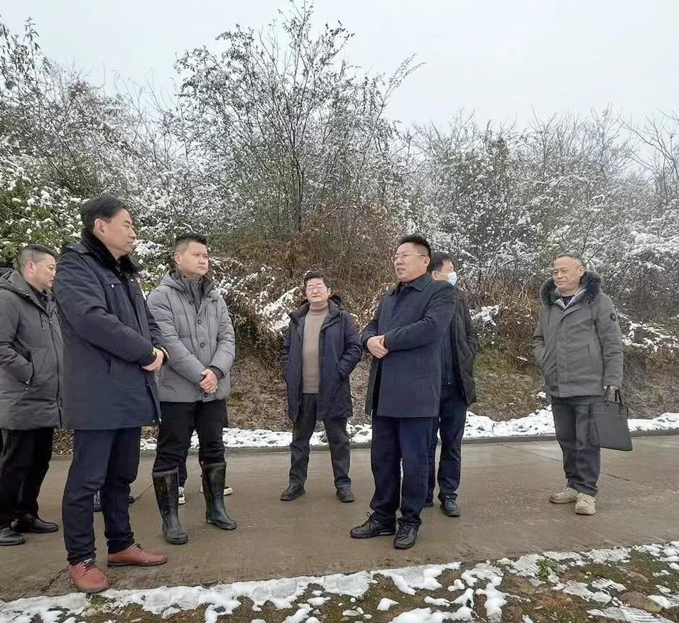 高杰赴猇亭孙家湾垃圾填埋场调研