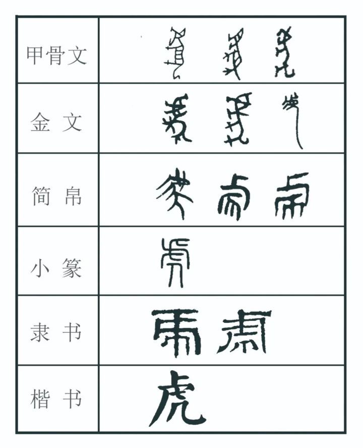 从小篆开始,虎字的字形开始显现出今日虎字的雏形.