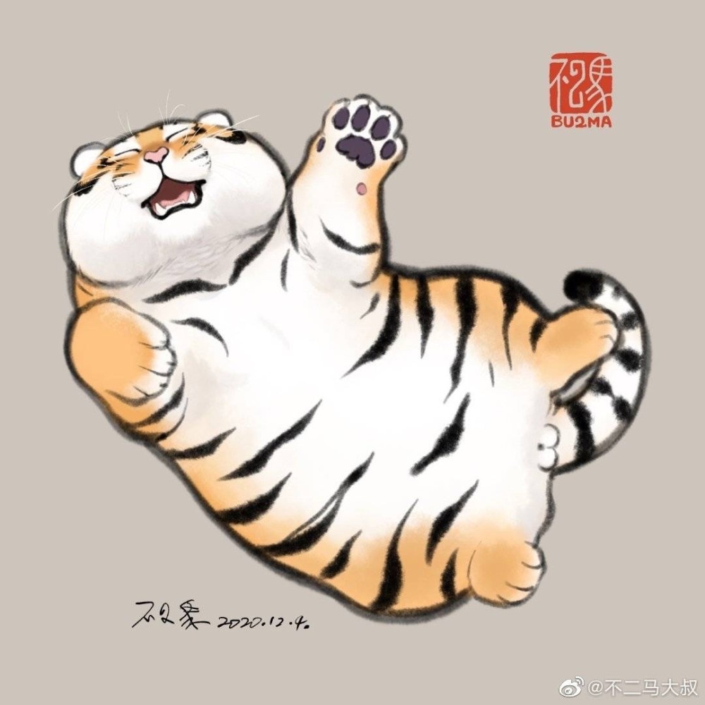 小老虎拜年啦愿往后柳暗花明