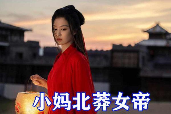 雪中悍刀行徐凤年亲友团无敌干娘北莽女帝师娘纳兰右慈