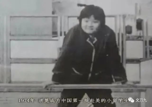 怒甩陈凯歌,手撕王思聪,嘲讽苏芒,"痞女"洪晃哪来的底气?
