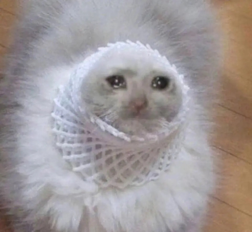 流泪猫猫头