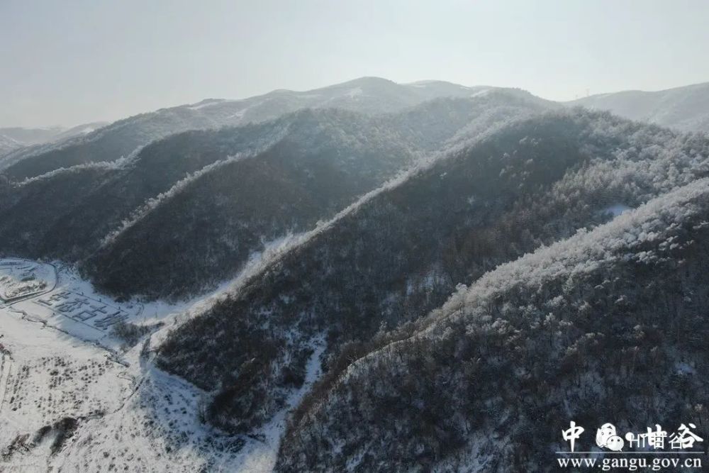 甘谷古坡草原雪景美如画